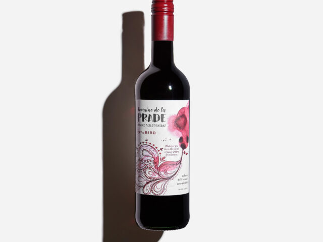 Bezalkoholowe Merlot Shiraz Oddbird
